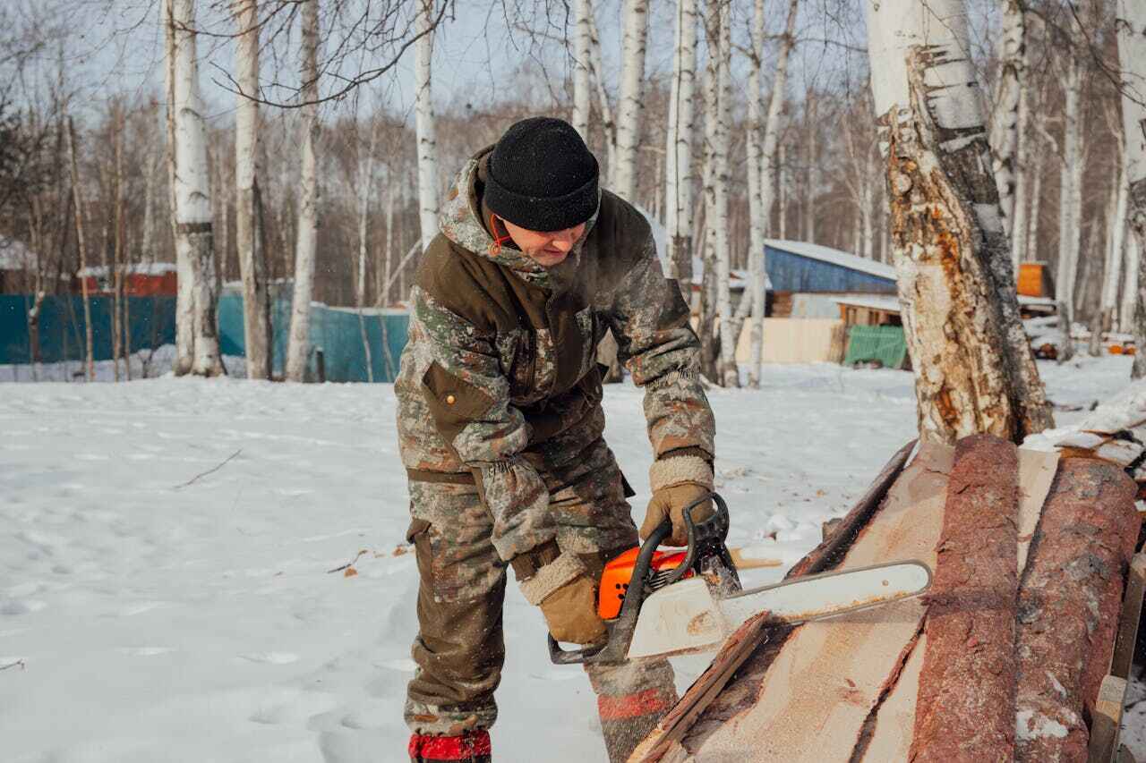 Tree Branch Trimming in North Alamo, TX